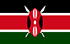 TGM Panel Zaradi Novac u Keniji