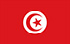 TGM Anketiranje za zaradu gotovine u Tunisu